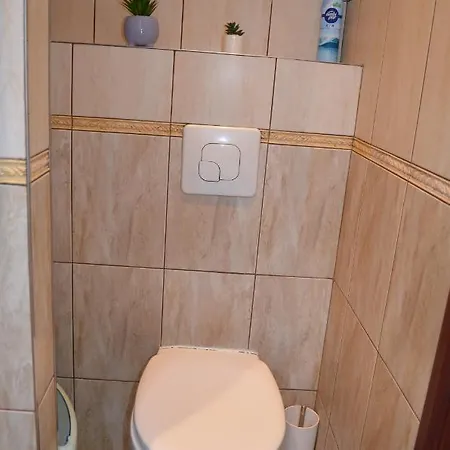 Kawalerka Ikara